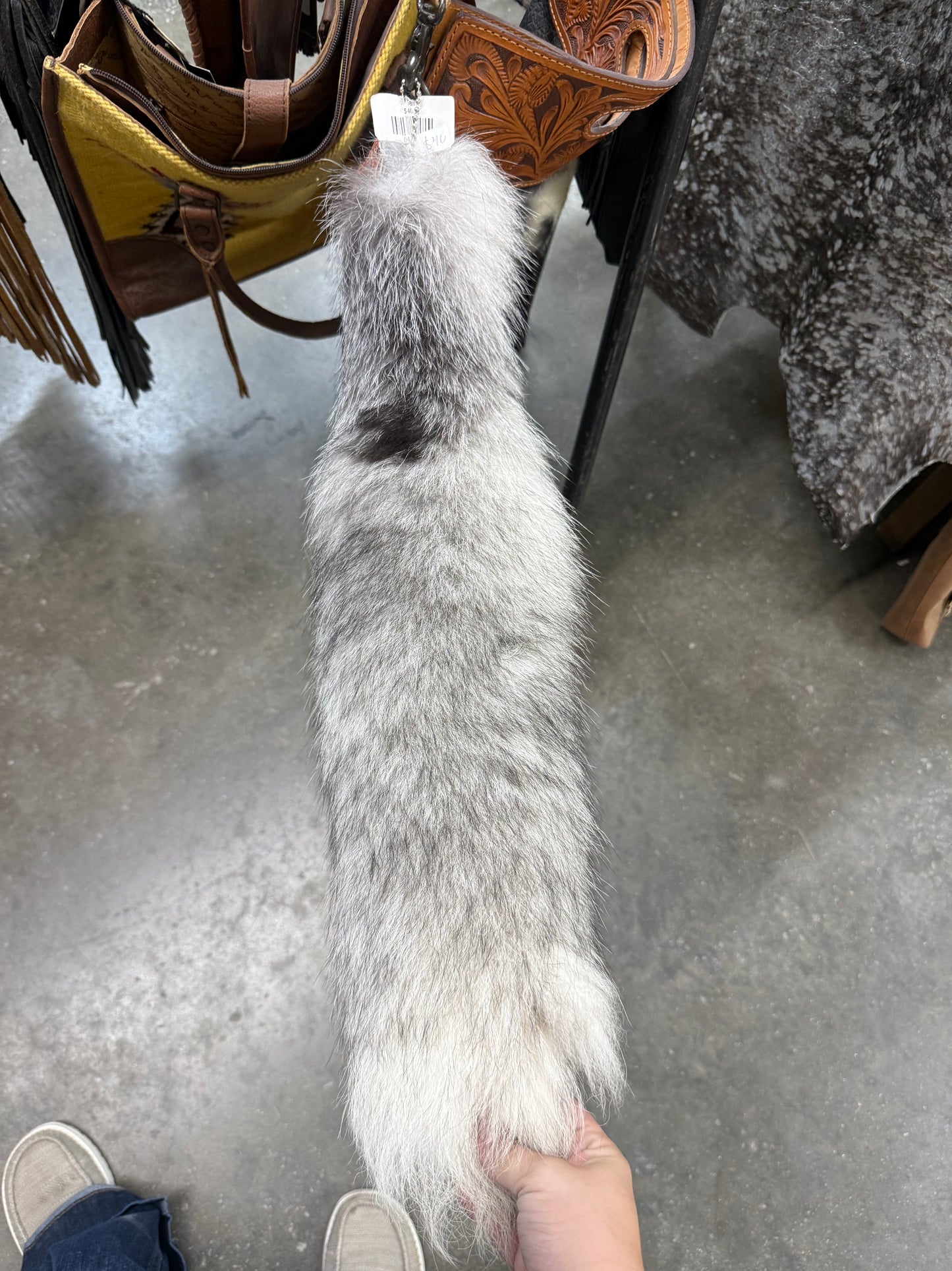 Tail