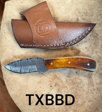 TXBBD
