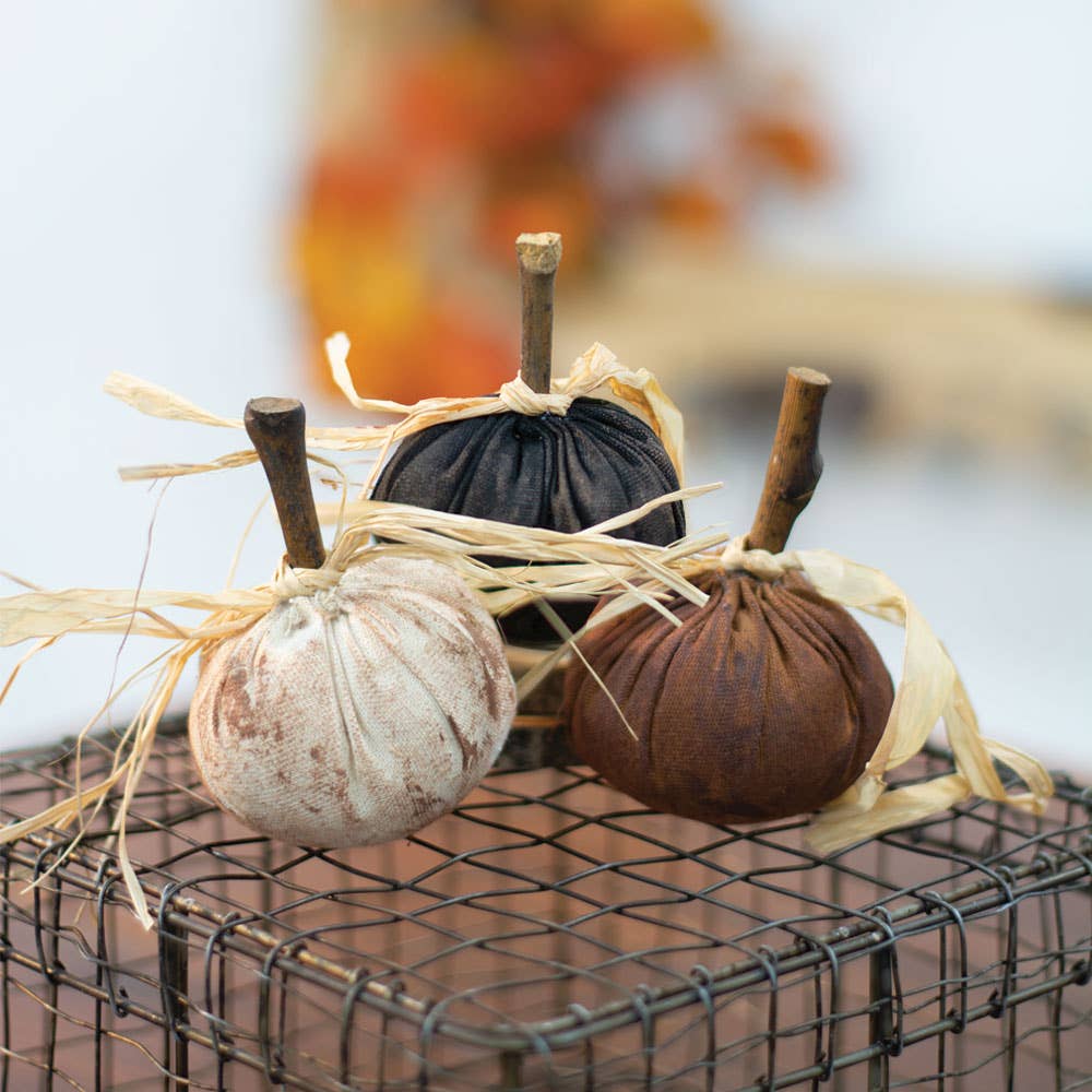 The Hearthside Collection - Gathered Pumpkins, 3 Assorted - Wines'Designs