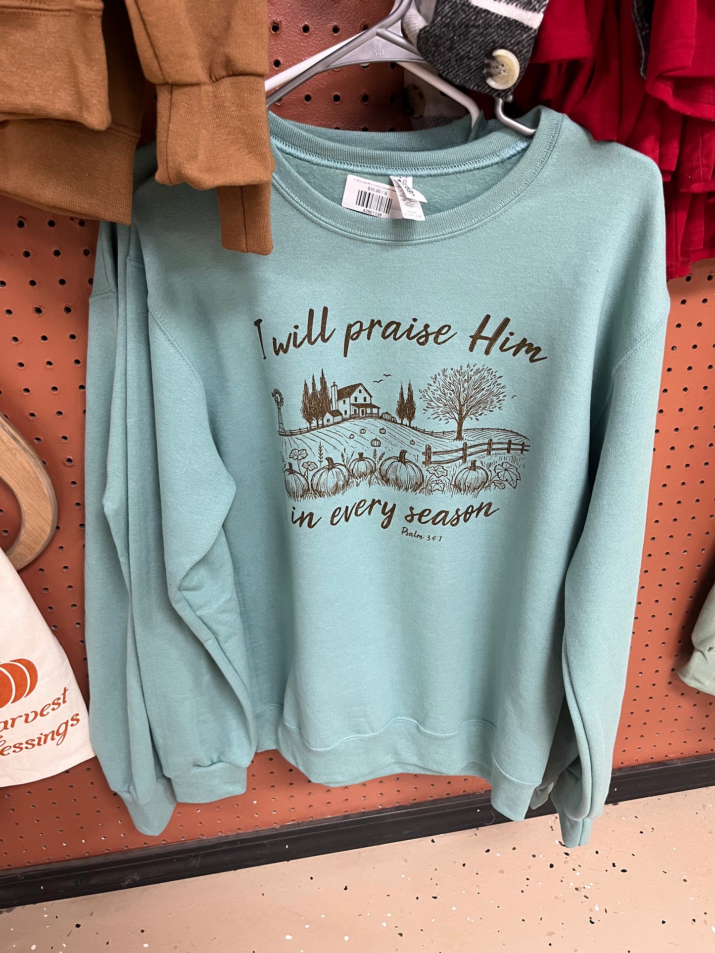 I will praise Him in every season sweatshirt