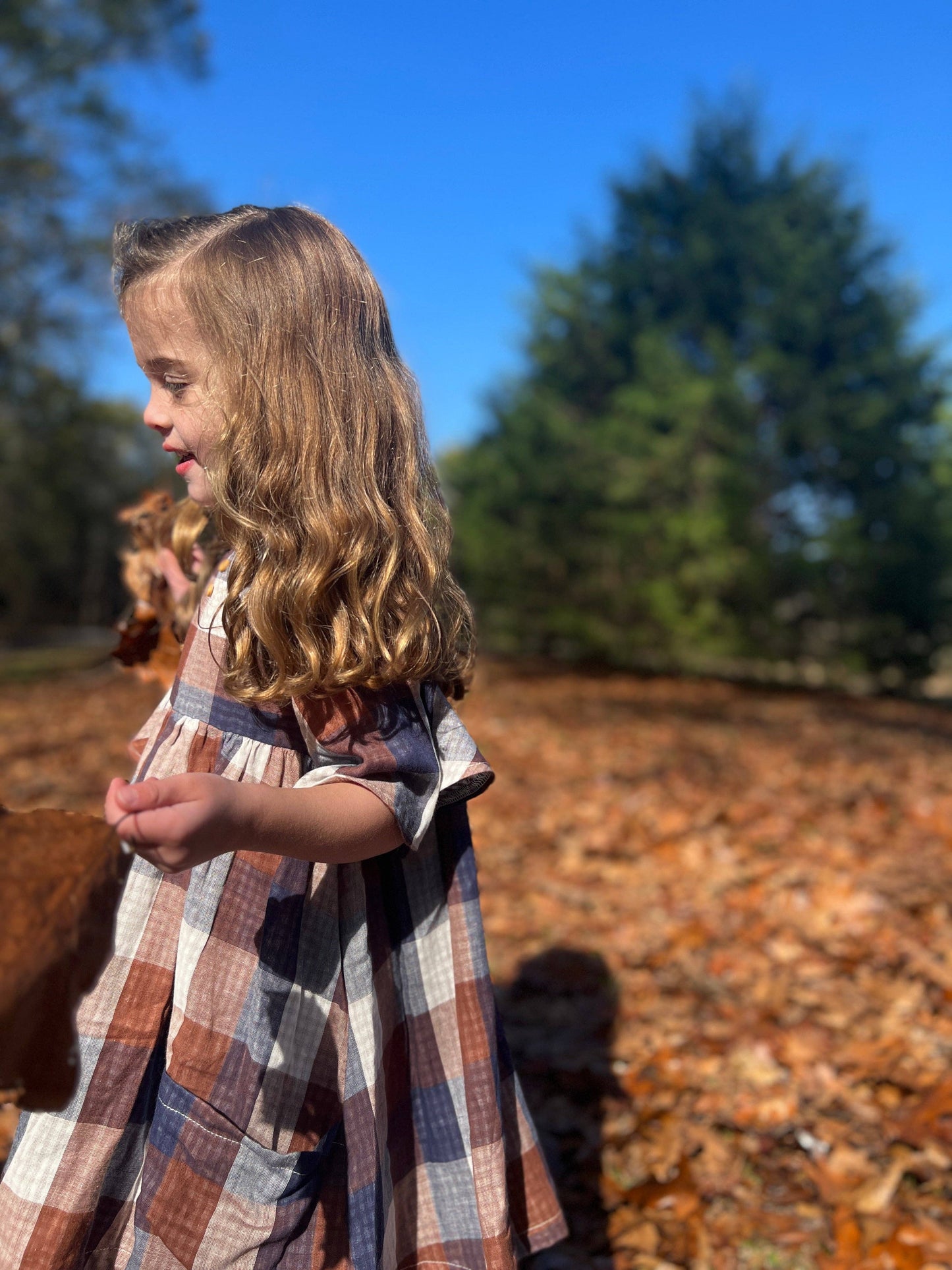 Vignette - Korin dress in blue and brown plaid: 2y - Wines'Designs