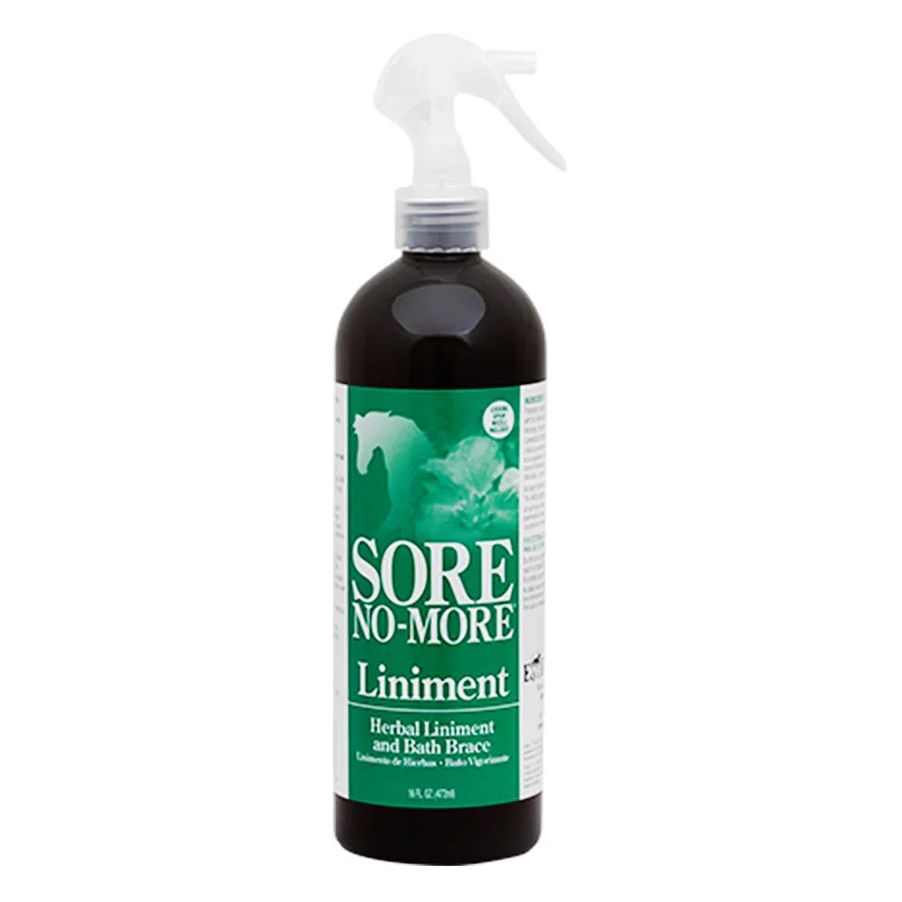 SORE NO-MORE Liniment - Wines'Designs