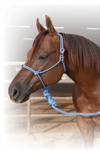 EASY ON ROPE HALTER - Wines'Designs