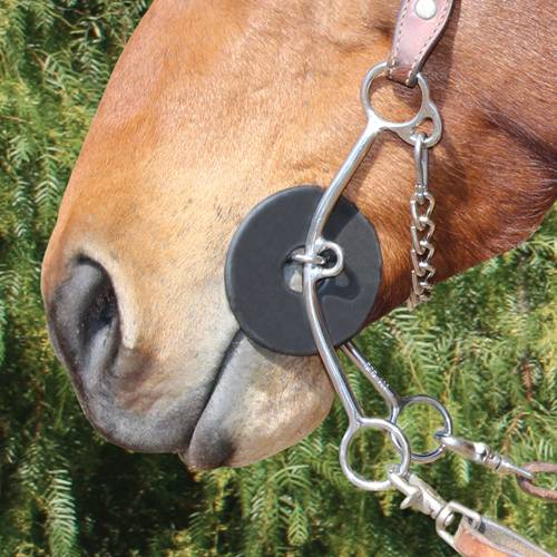 BRITTANY MED SHANK TWISTED WIRE SNAFFLE - Wines'Designs