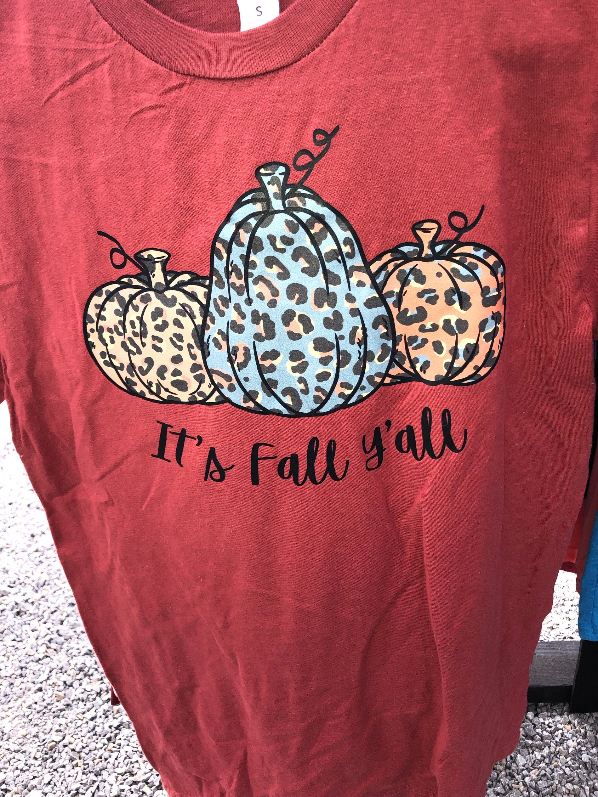 It’s fall y’all with leopard pumpkins - Wines'Designs